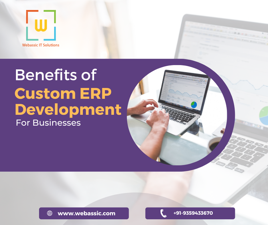 Benefits of Custom ERP